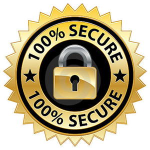 100% Secure